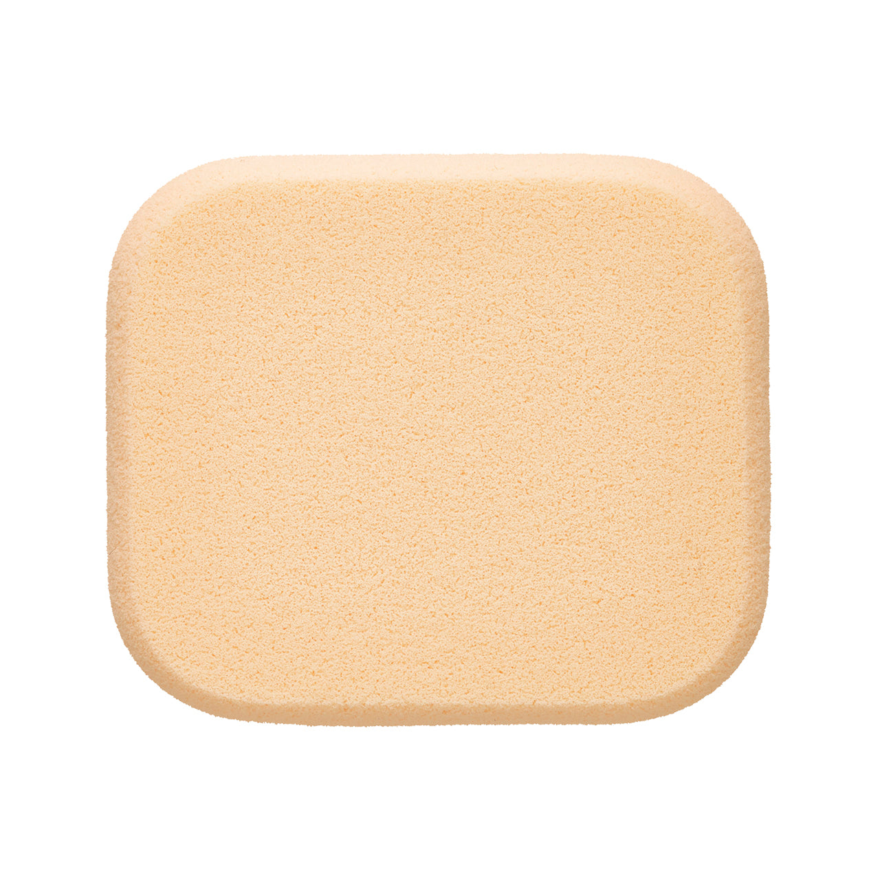 ALBION Excia Mat E