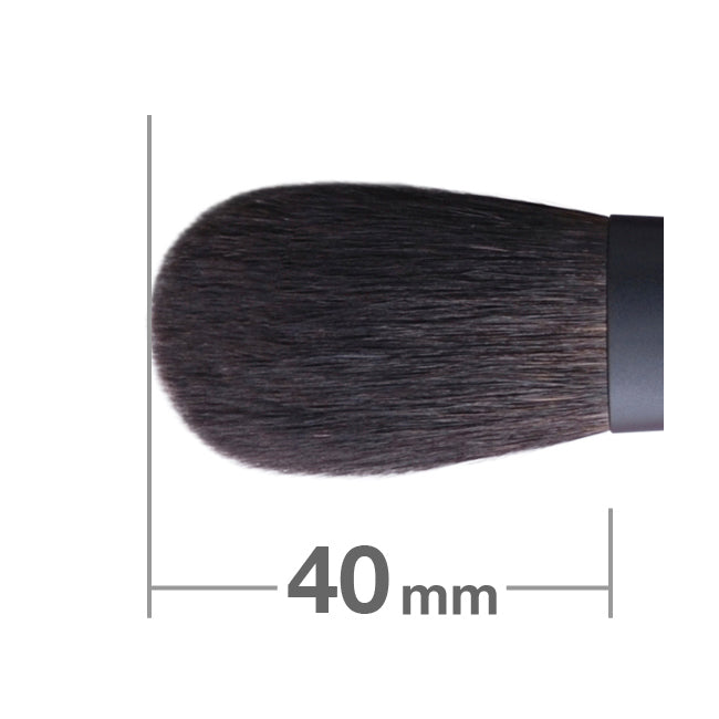 Hakuhodo Kokutan Blush Brush S