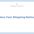 New Year Shipping Notice