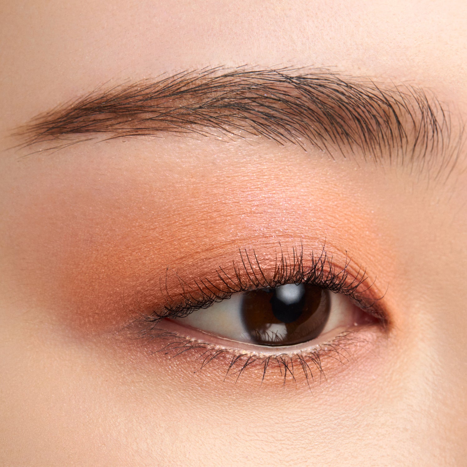 SUQQU Signature Color Eyes Summer 2025 Limited Edition