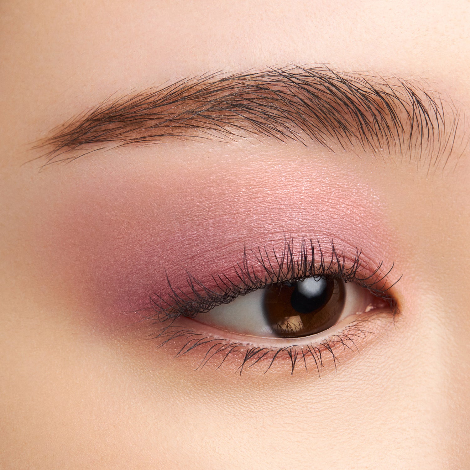SUQQU Signature Color Eyes Summer 2025 Limited Edition