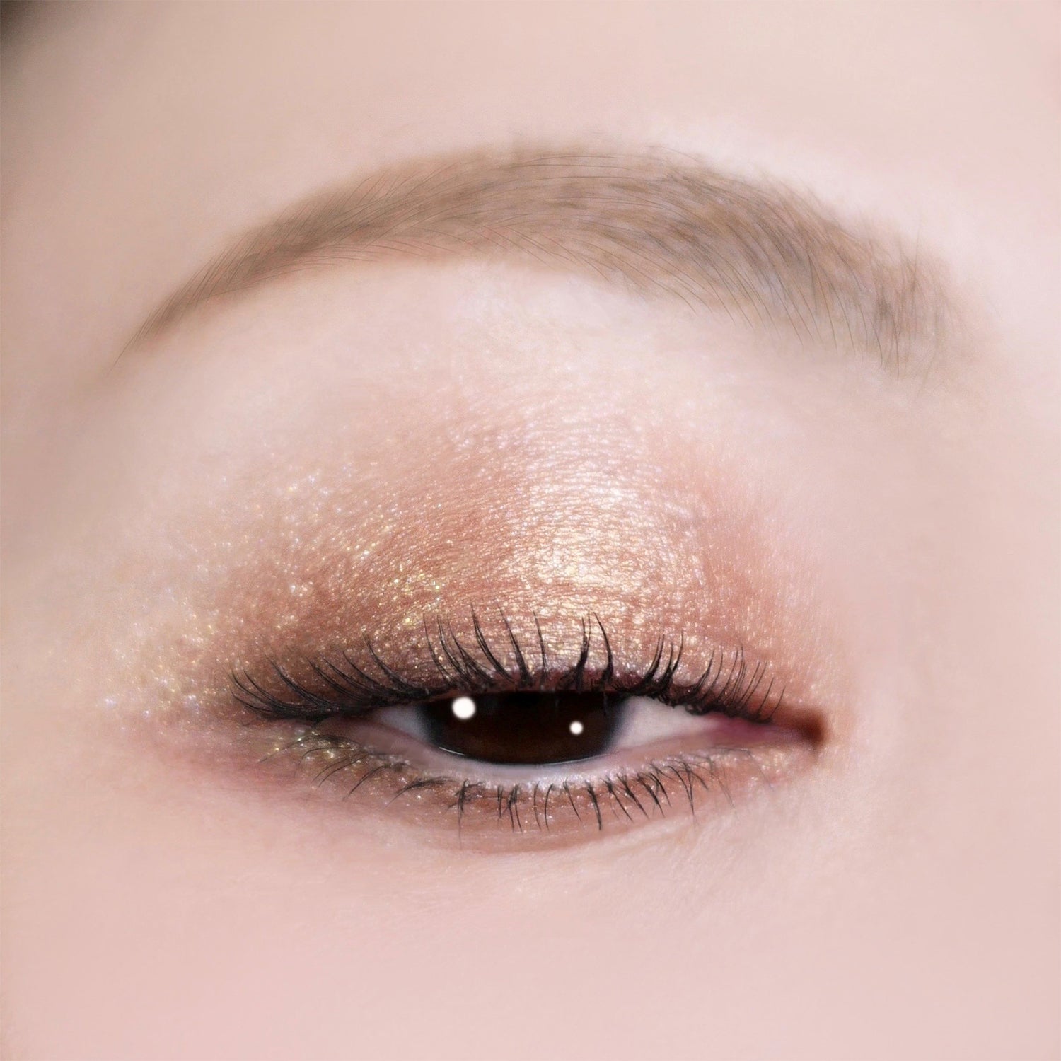 SUQQU Signature Color Eyes Summer 2026 Limited Edition – Everglow