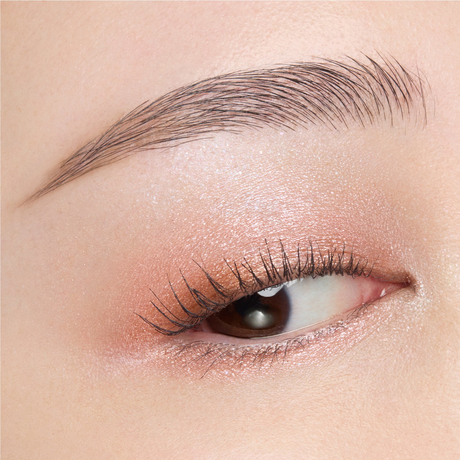 SUQQU Signature Color Eyes 156 Limited Edition