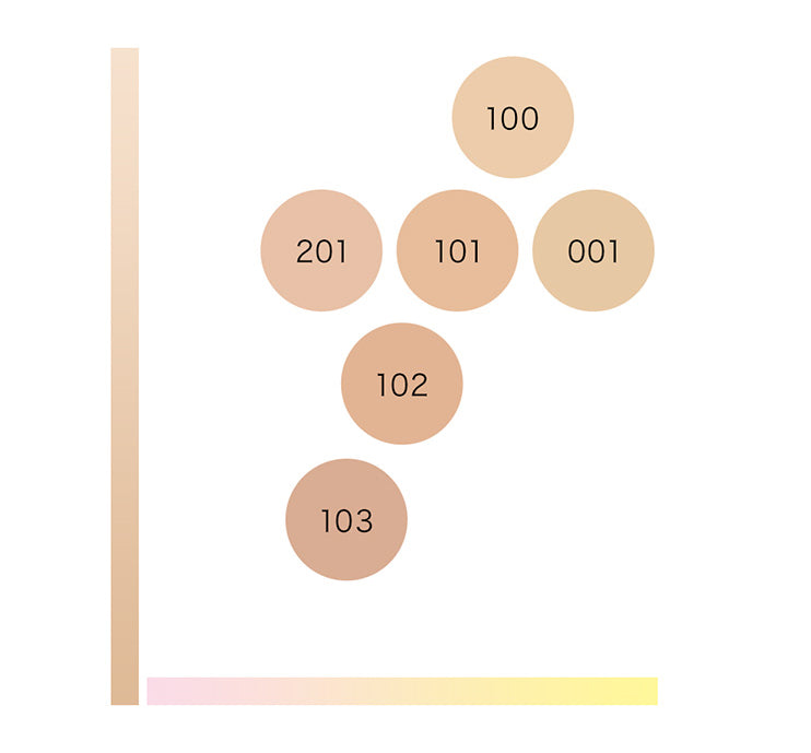 IPSA Powder Foundation e