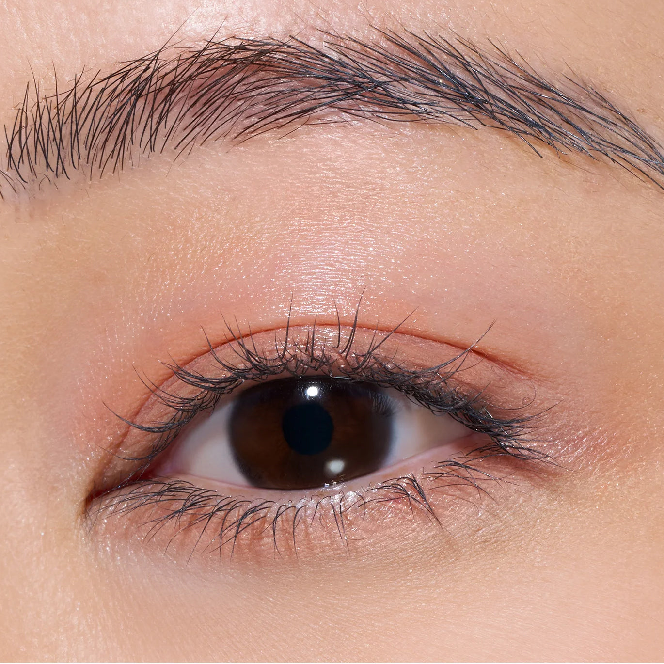 LUNASOL Mono Eye Coloration Full of Flavor Limited Edition