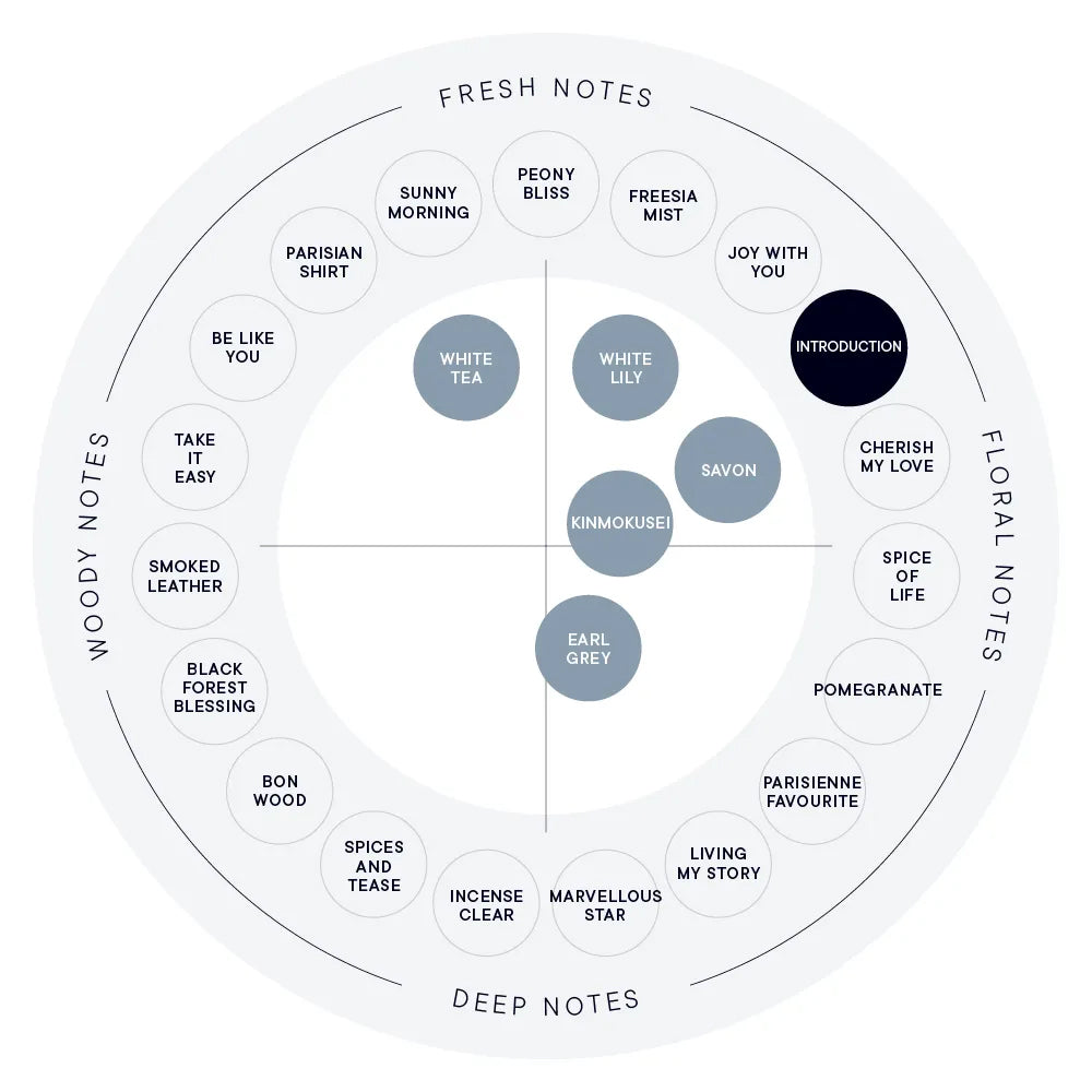 SHIRO INTRODUCTION Hand Serum