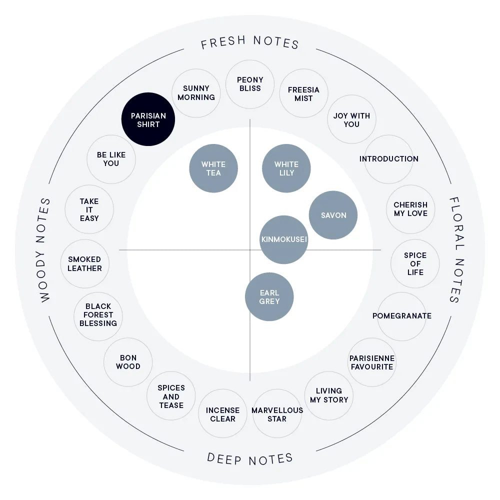 SHIRO PARISIAN SHIRT Hand Serum