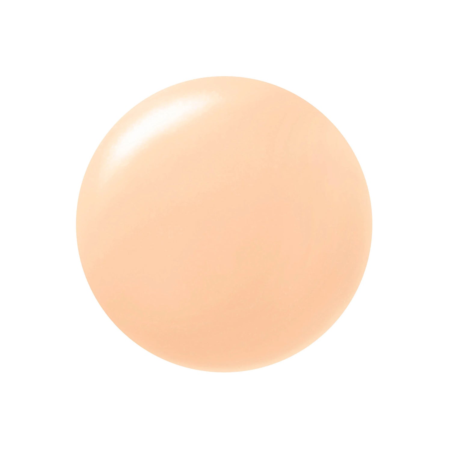 Paul &amp; Joe Beaute Protecting Foundation Primer N