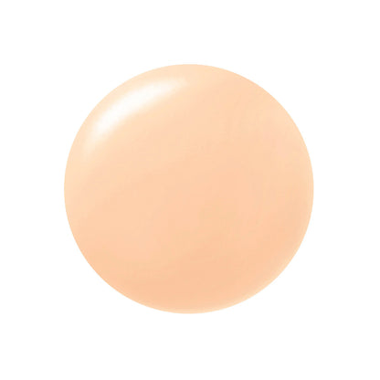 Paul &amp; Joe Beaute Protecting Foundation Primer N