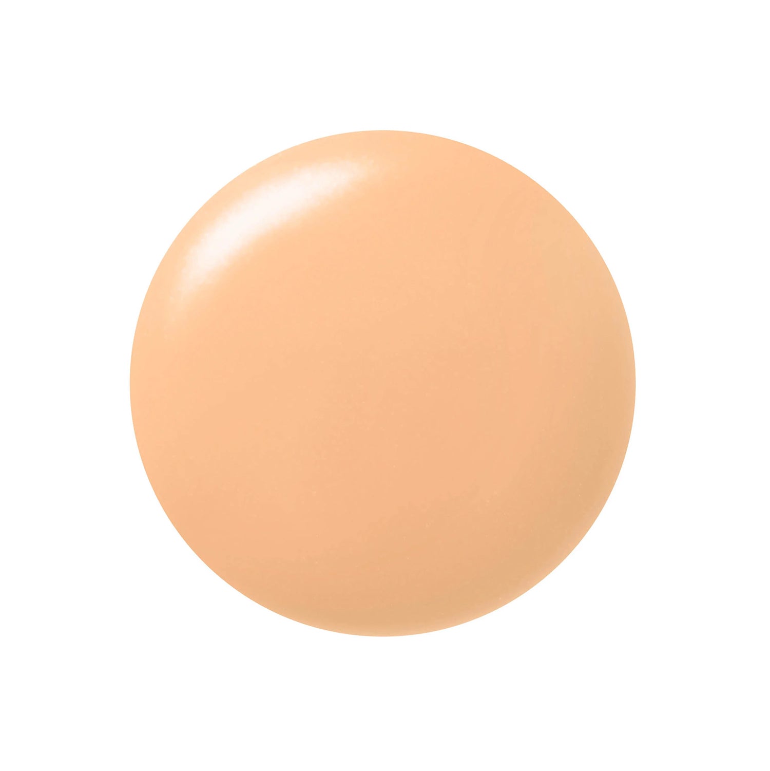 Paul &amp; Joe Beaute Protecting Foundation Primer N