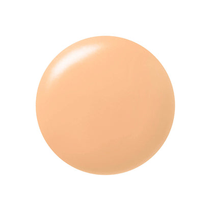 Paul &amp; Joe Beaute Protecting Foundation Primer N