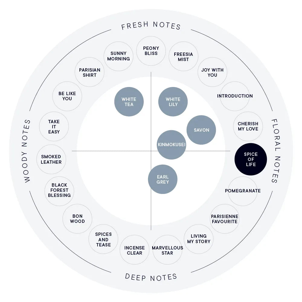 SHIRO SPICE OF LIFE Hand Serum