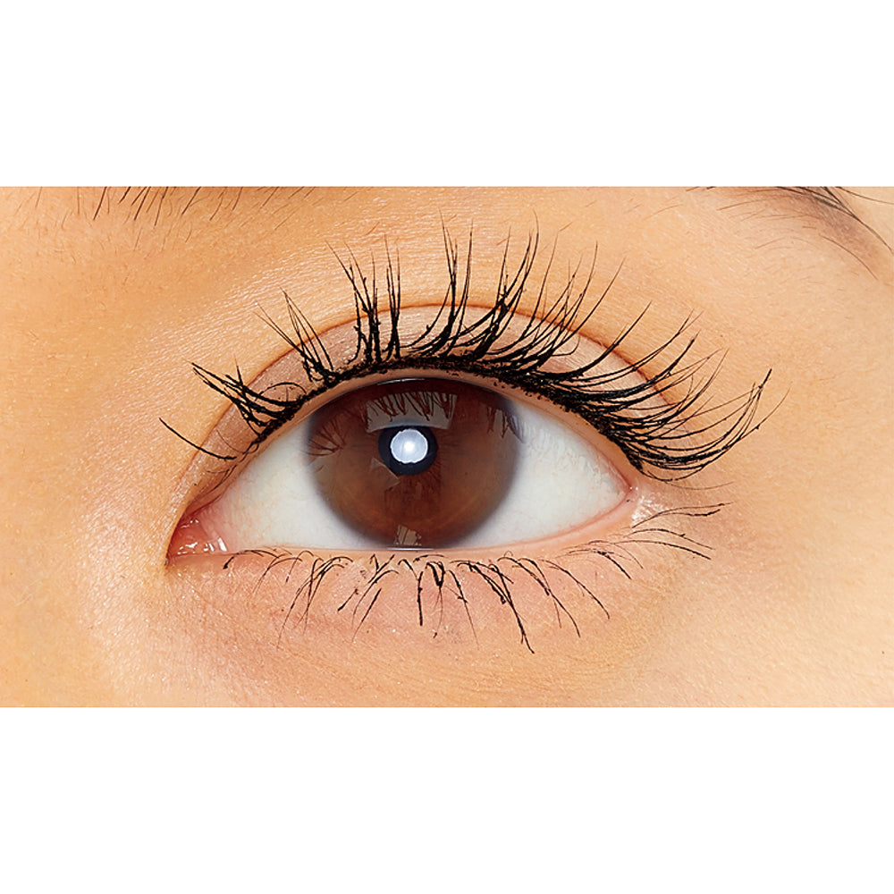 KANEBO Separate Long Lash CC