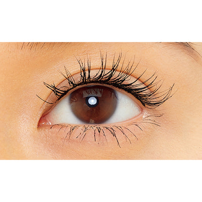 KANEBO Separate Long Lash CC