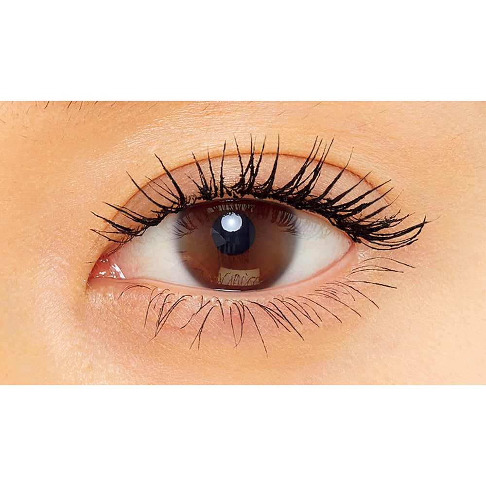 KANEBO Lash Extension WP